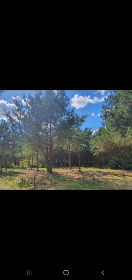 Działka rolno-budowlana Kolonia. Zdjęcie 5