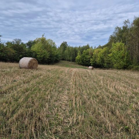 Działka rolna Szwarszowice. Zdjęcie 1