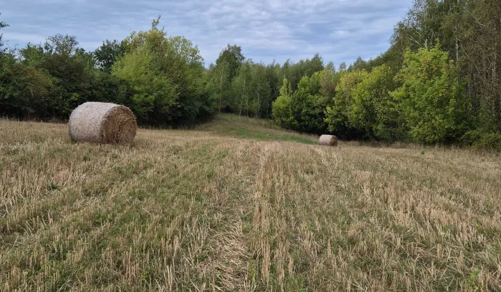 Działka rolna Szwarszowice