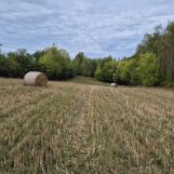 Działka rolna Szwarszowice