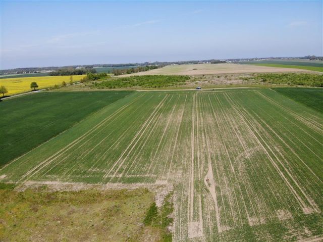 Działka budowlana Śmiechów. Zdjęcie 5