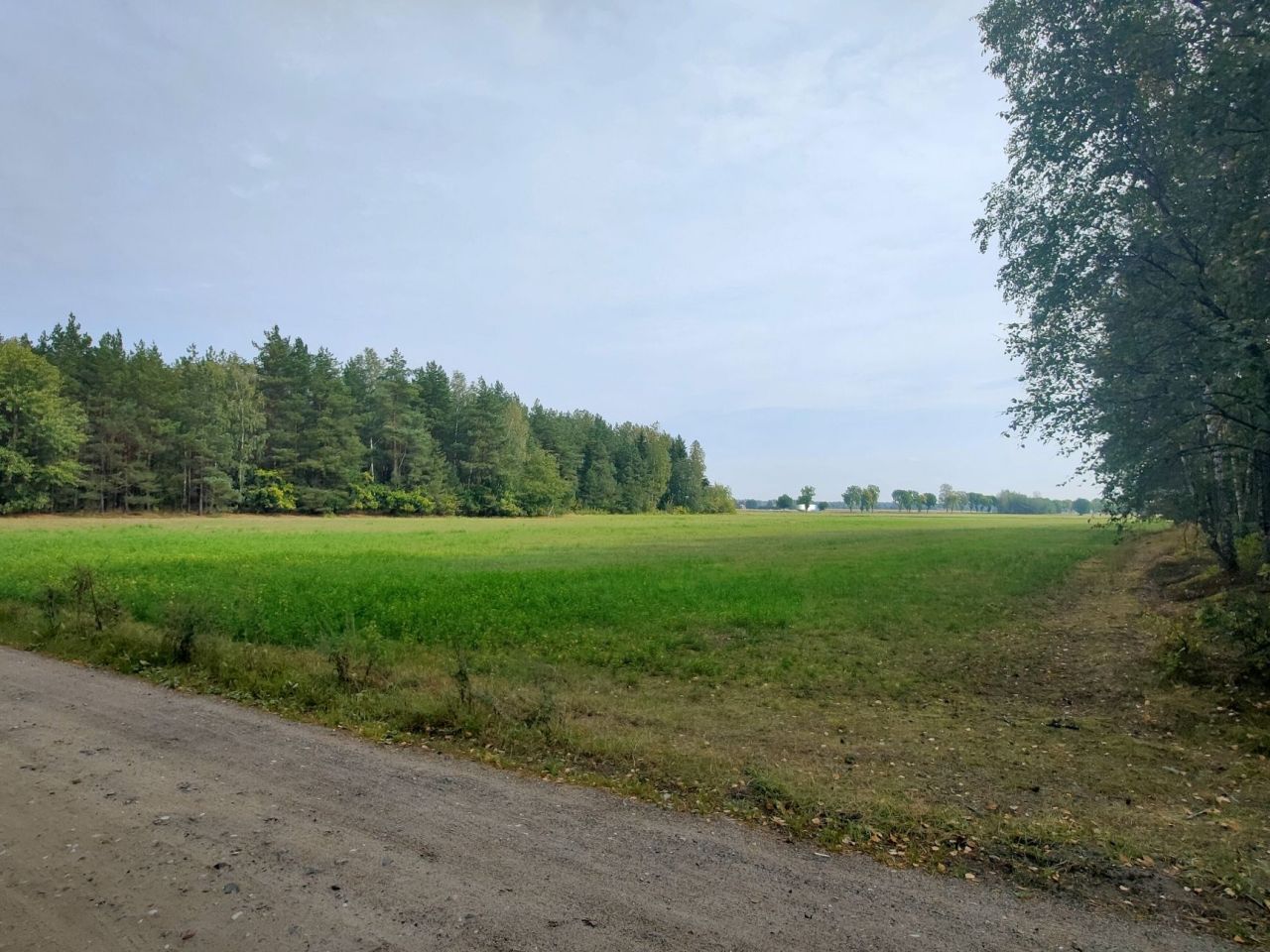 Działka budowlana Olszyny. Zdjęcie 3