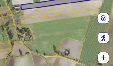 Działka rolna Kaliszkowice Kaliskie