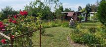 Działka rod Krotoszyn, ul. Bolewskiego. Zdjęcie 1