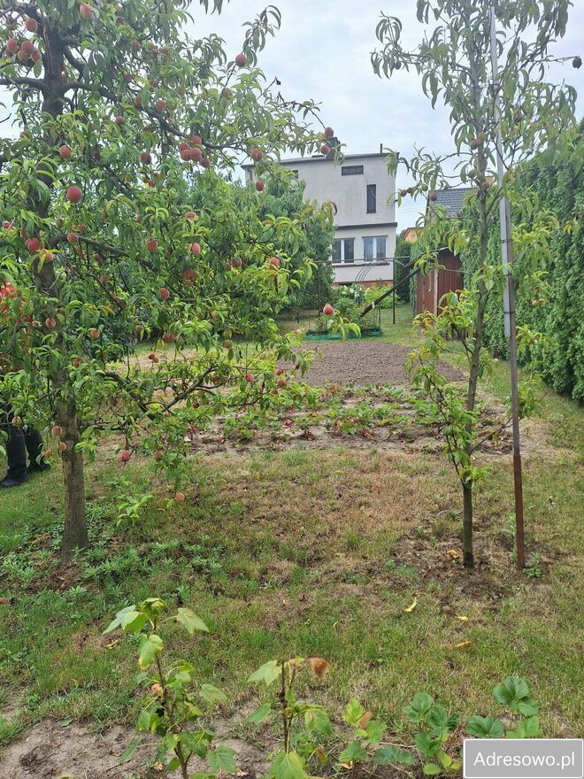 dom wolnostojący, 5 pokoi Sandomierz, ul. 15 Sierpnia. Zdjęcie 2