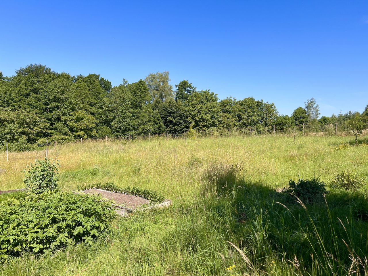 Działka rolno-budowlana Pszów, ul. Pszowska. Zdjęcie 4