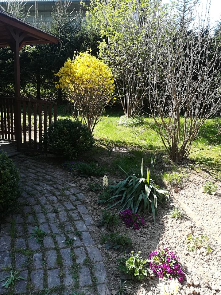 Działka rekreacyjna Nozdrzec. Zdjęcie 2