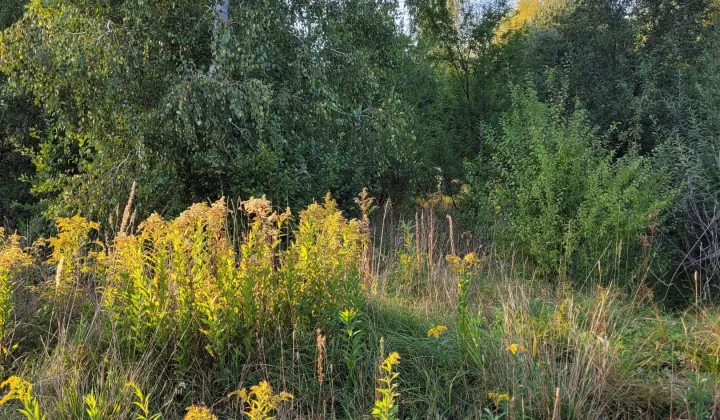 Działka budowlana Musuły, ul. Szumiących Traw