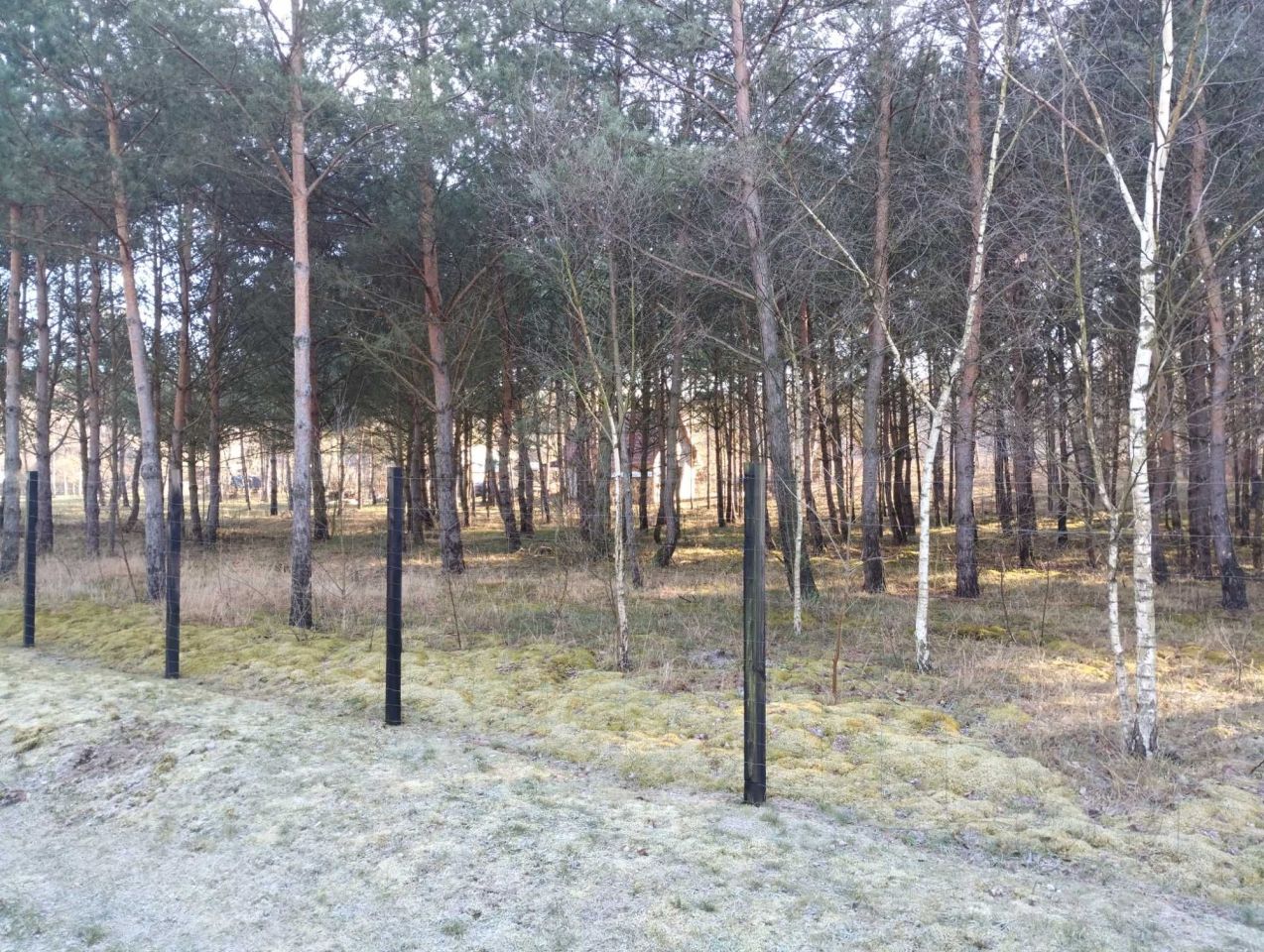 Działka rolna Świbinki. Zdjęcie 5