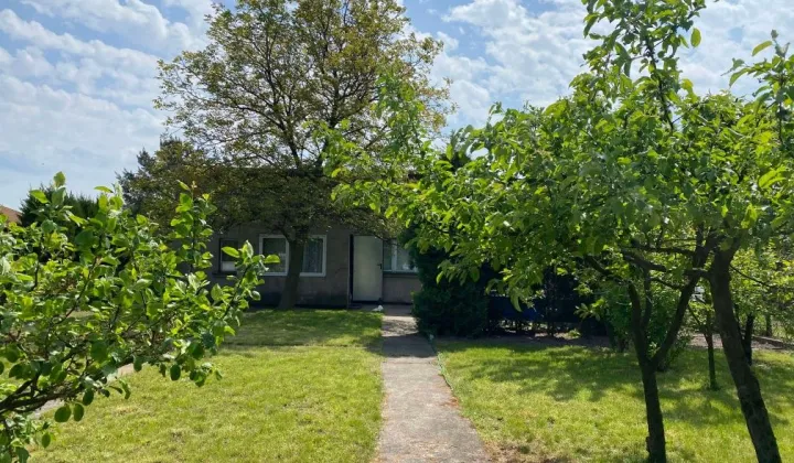 Działka rod Kalisz, ul. Borkowska