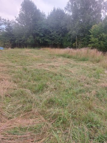 Działka rolno-budowlana Sopotnia Wielka. Zdjęcie 1