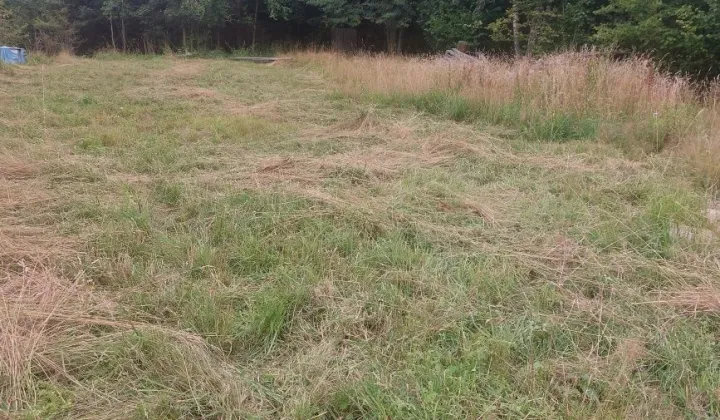 Działka rolno-budowlana Sopotnia Wielka