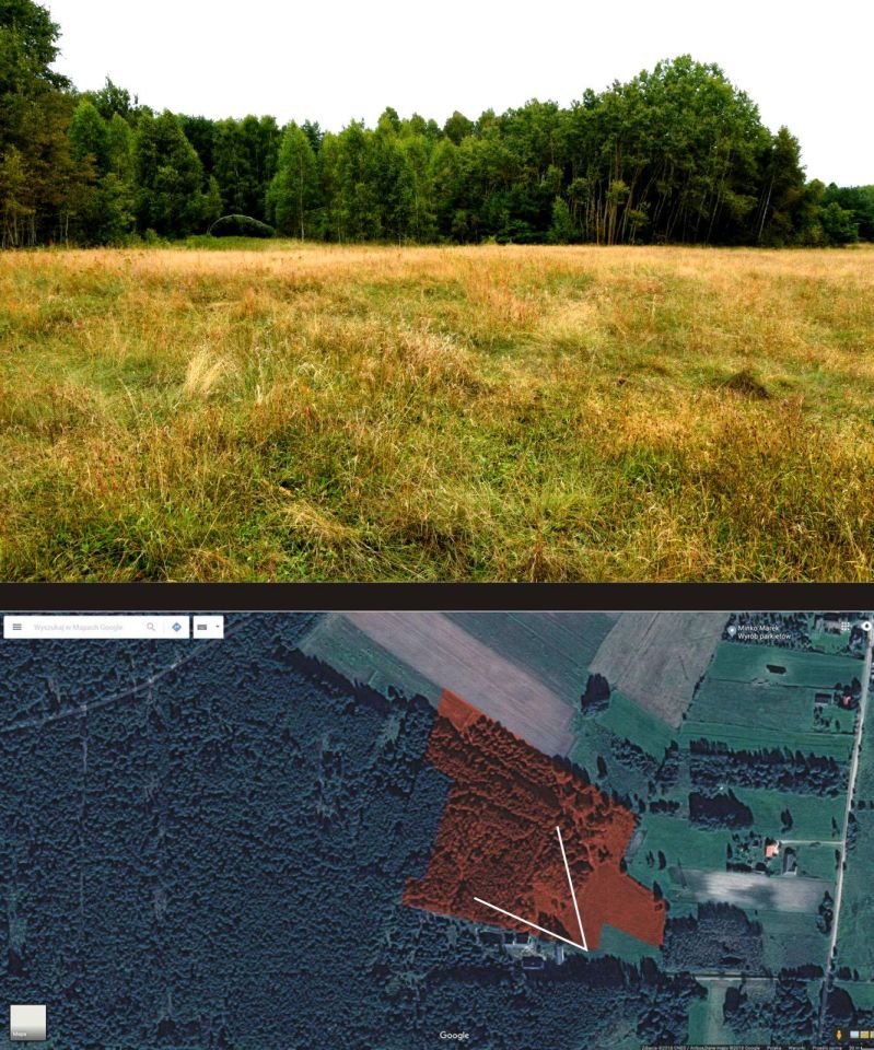 Działka leśna Turna Duża. Zdjęcie 32