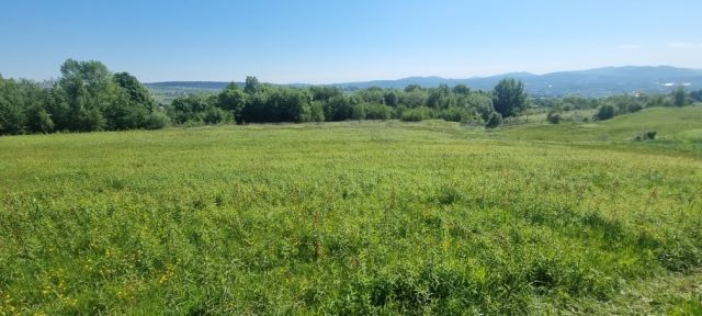 Działka budowlana Trzetrzewina. Zdjęcie 1