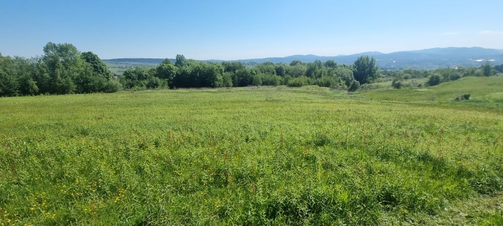 Działka budowlana Trzetrzewina