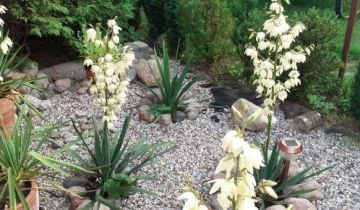 Działka rod Klebark Mały