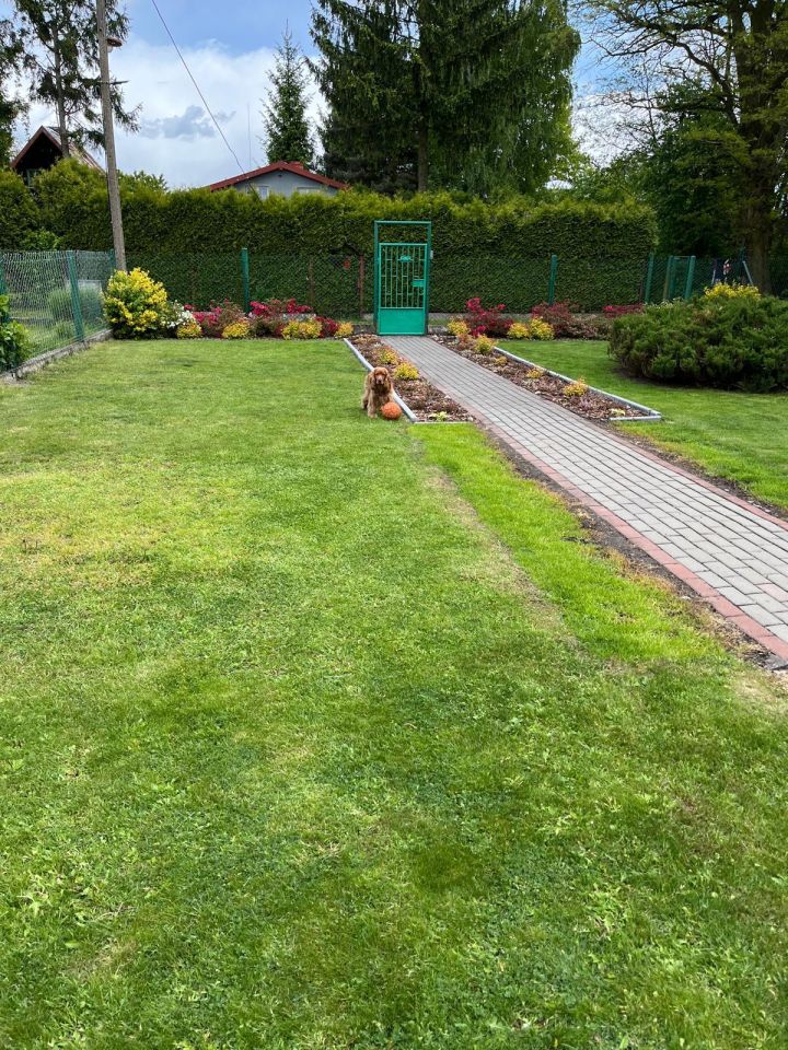 Działka rod Piekary Śląskie Kolonia Józefka, ul. Kamienna. Zdjęcie 1