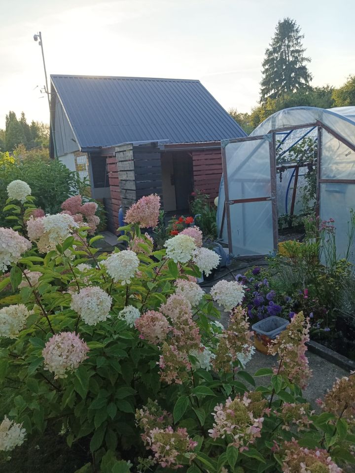 Działka rod Niekanin, Janiska. Zdjęcie 13