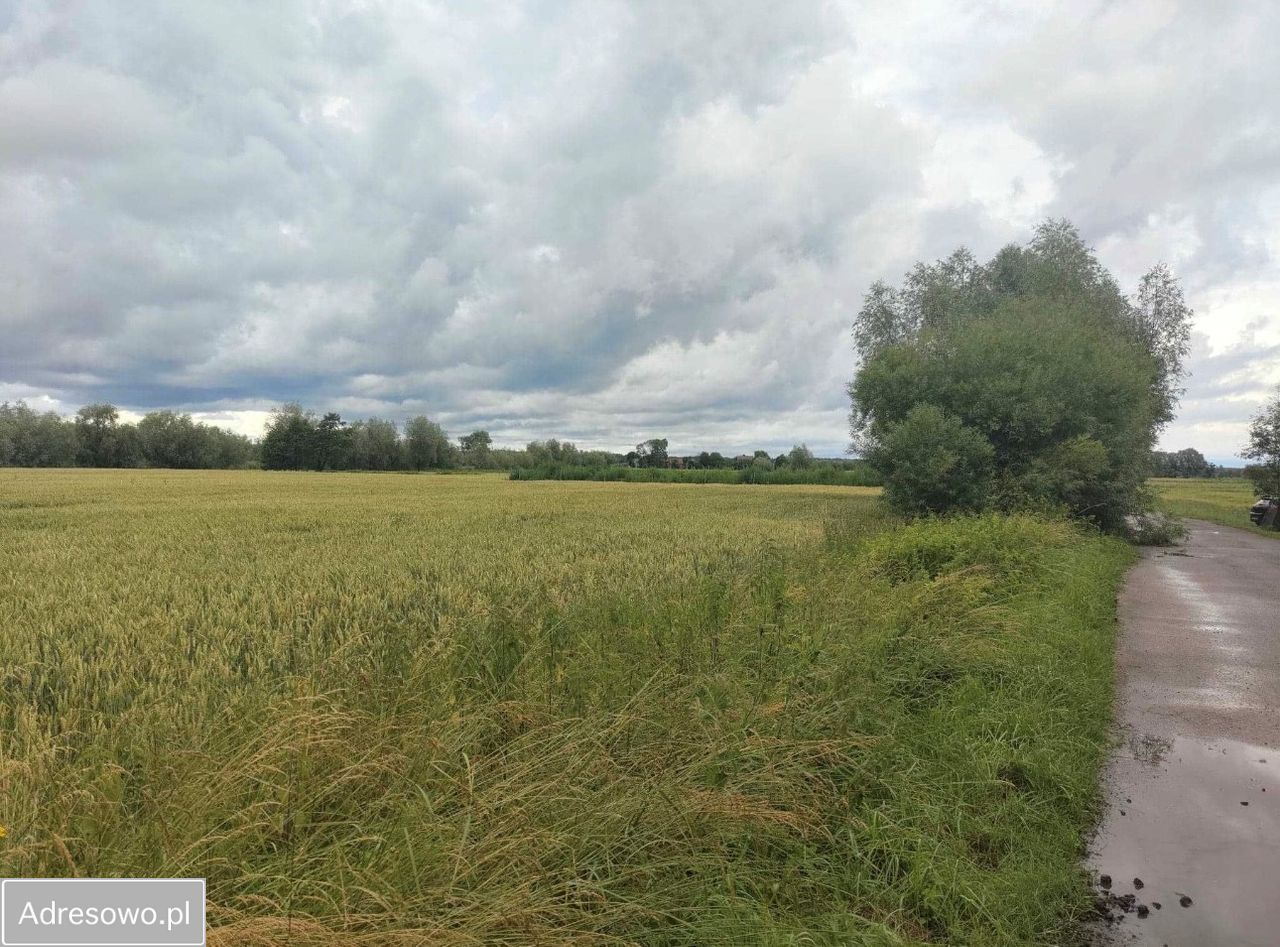Działka budowlana Kobyla Kępa. Zdjęcie 5