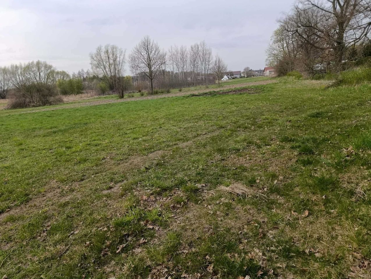 Działka rekreacyjna Lipinki. Zdjęcie 6
