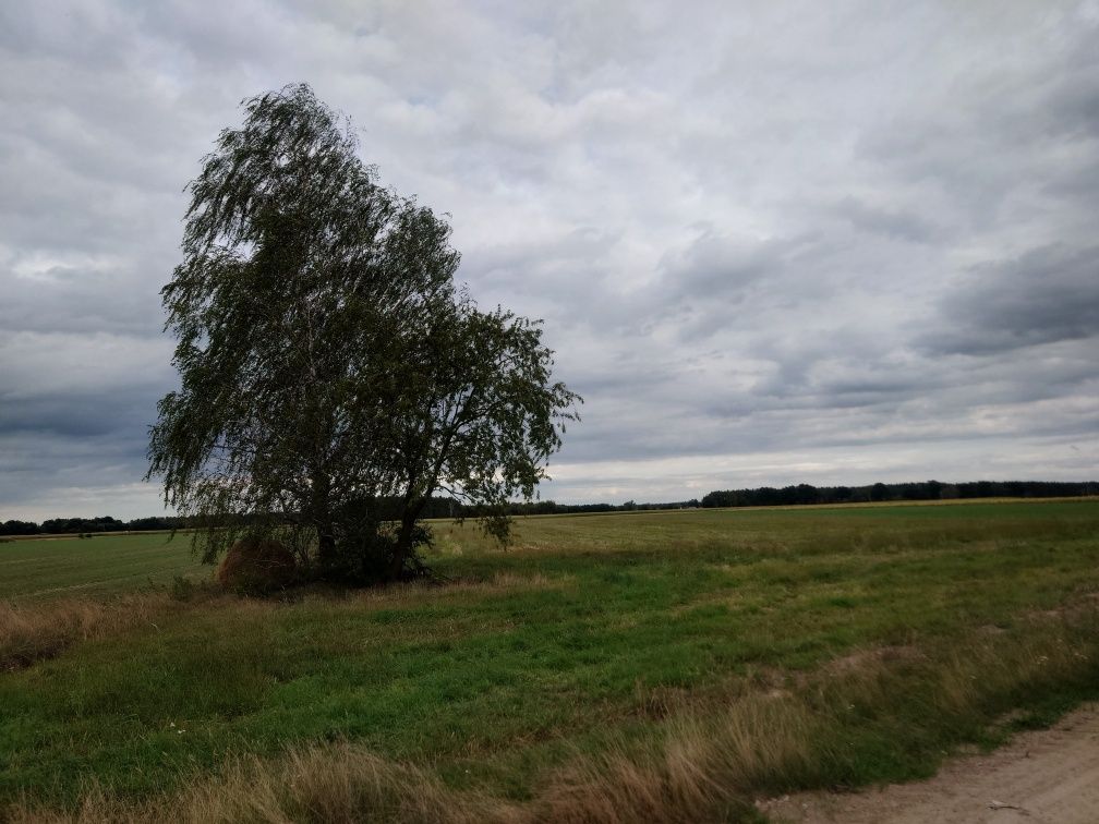 Działka na sprzedaż bez pośredników
Świeca
