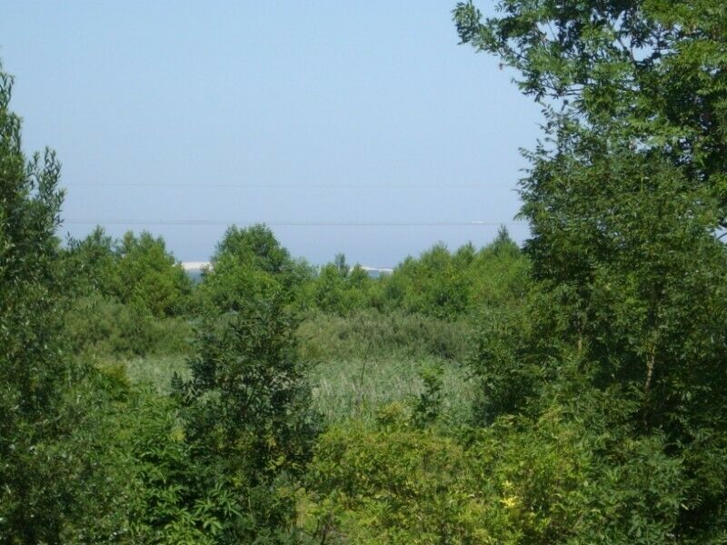 Działka budowlana Izbica. Zdjęcie 7