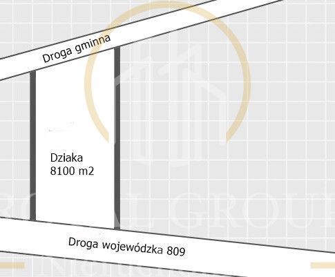Działka rolna Rudno. Zdjęcie 9