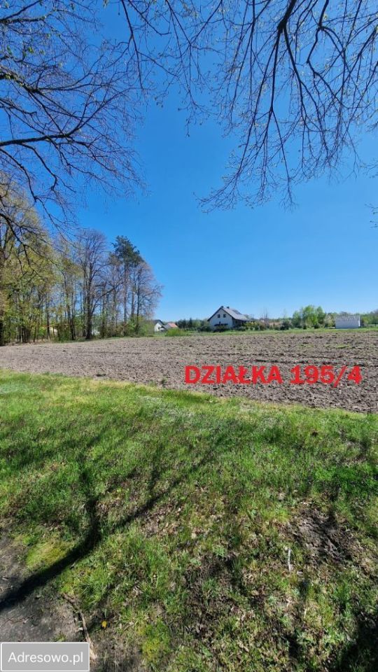 Działka budowlana Rozpłucie Drugie. Zdjęcie 4