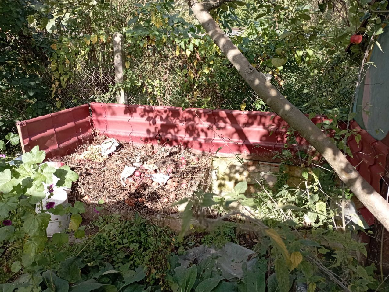 Działka rod Gorzów Wielkopolski Śródmieście, ul. Warszawska. Zdjęcie 5