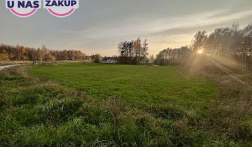 Działka inwestycyjna Pomlewo, ul. Kasztanowa