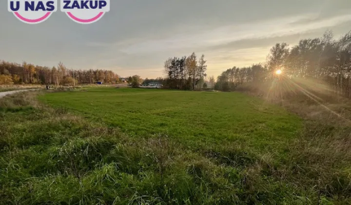 Działka inwestycyjna Pomlewo, ul. Kasztanowa