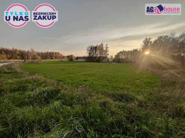 Działka inwestycyjna Pomlewo, ul. Kasztanowa