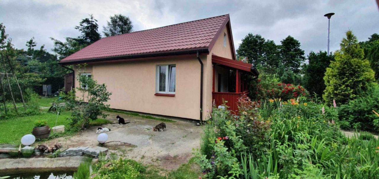 Działka rod Wistka Królewska. Zdjęcie 1