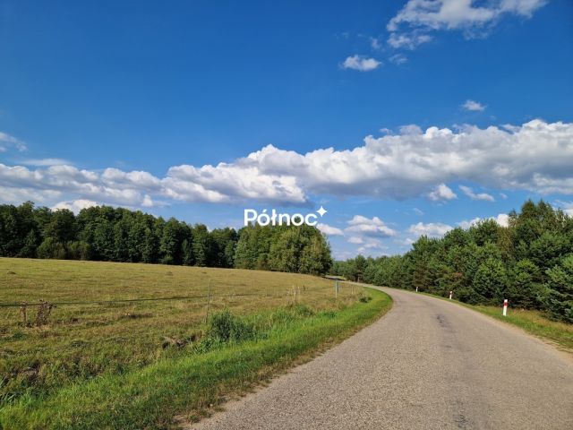 Działka leśna Krynickie. Zdjęcie 20