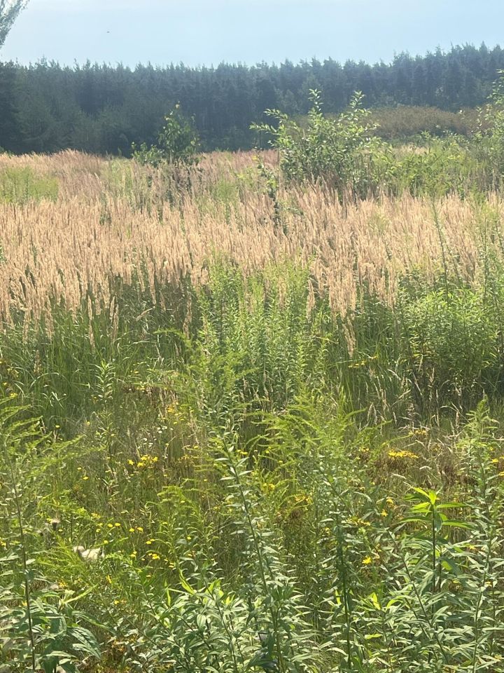 Działka rolno-budowlana Józefów