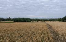 Działka rekreacyjna Miłkowice. Zdjęcie 2