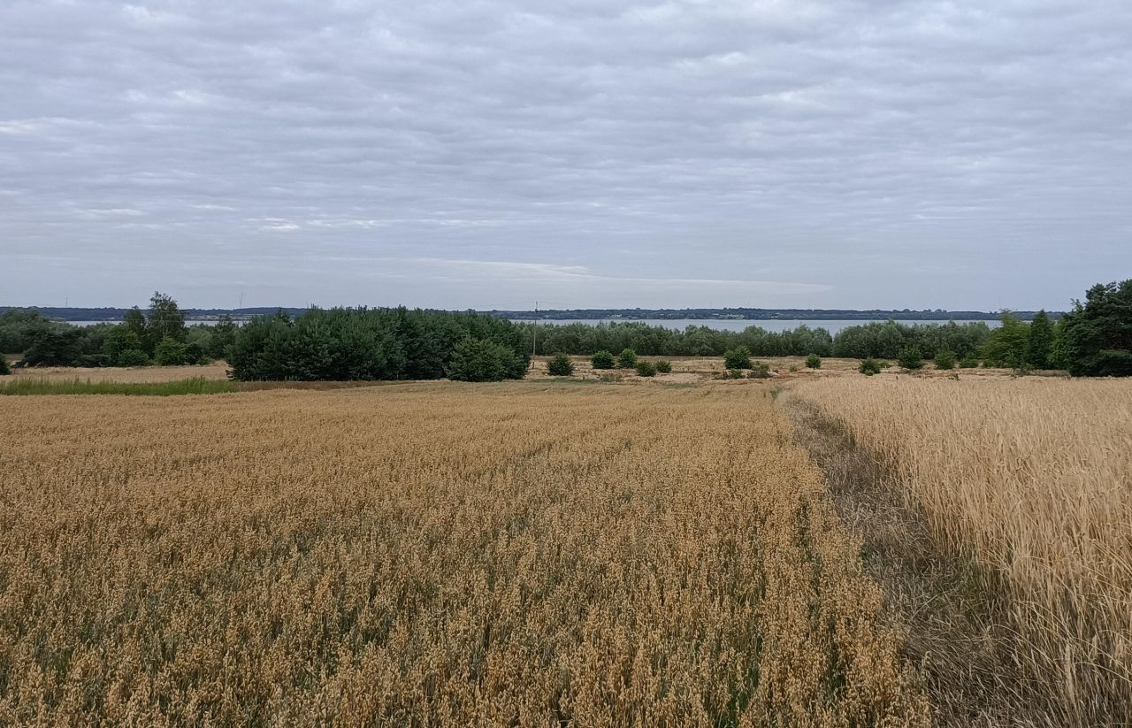 Działka rekreacyjna Miłkowice. Zdjęcie 3