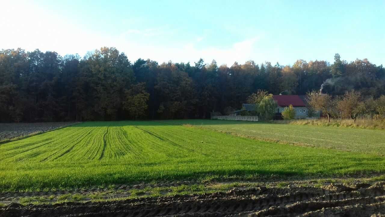 Działka budowlana Wagnerówka