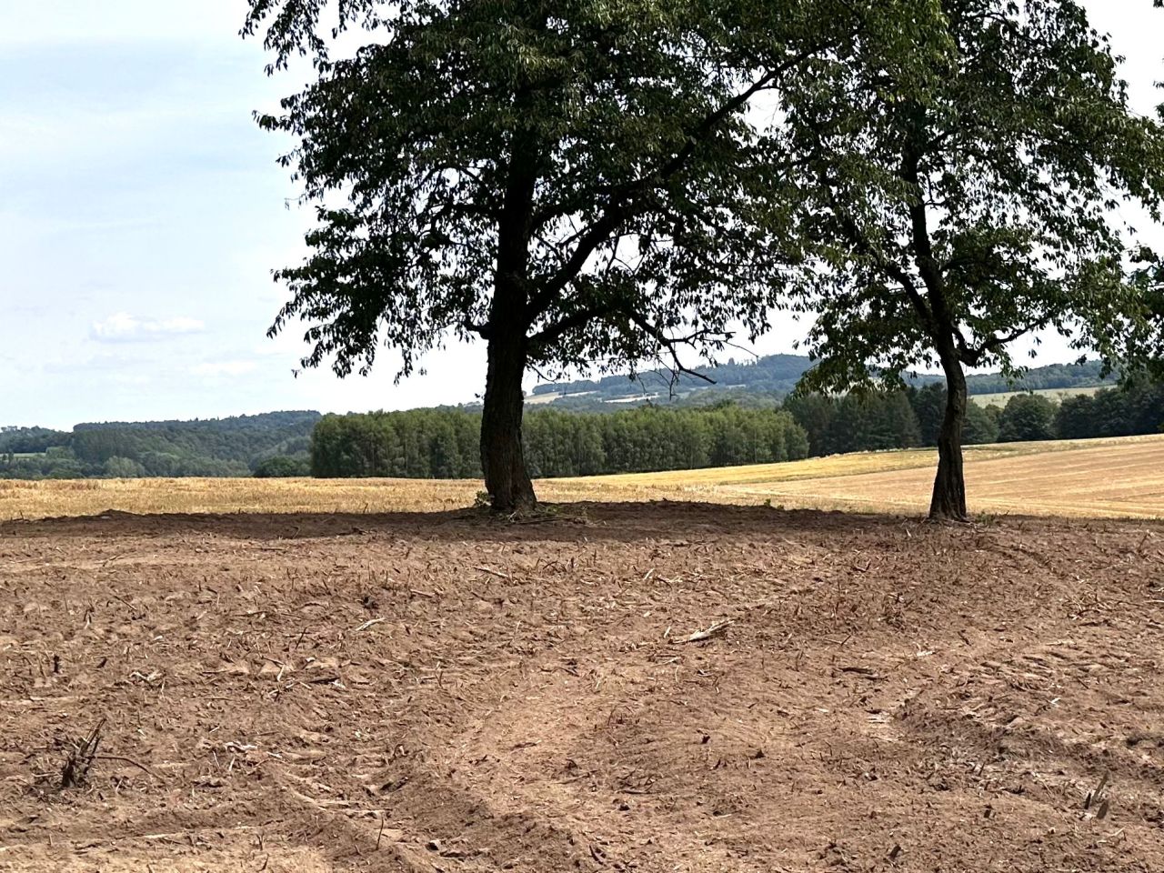 Działka budowlana Bożkowice