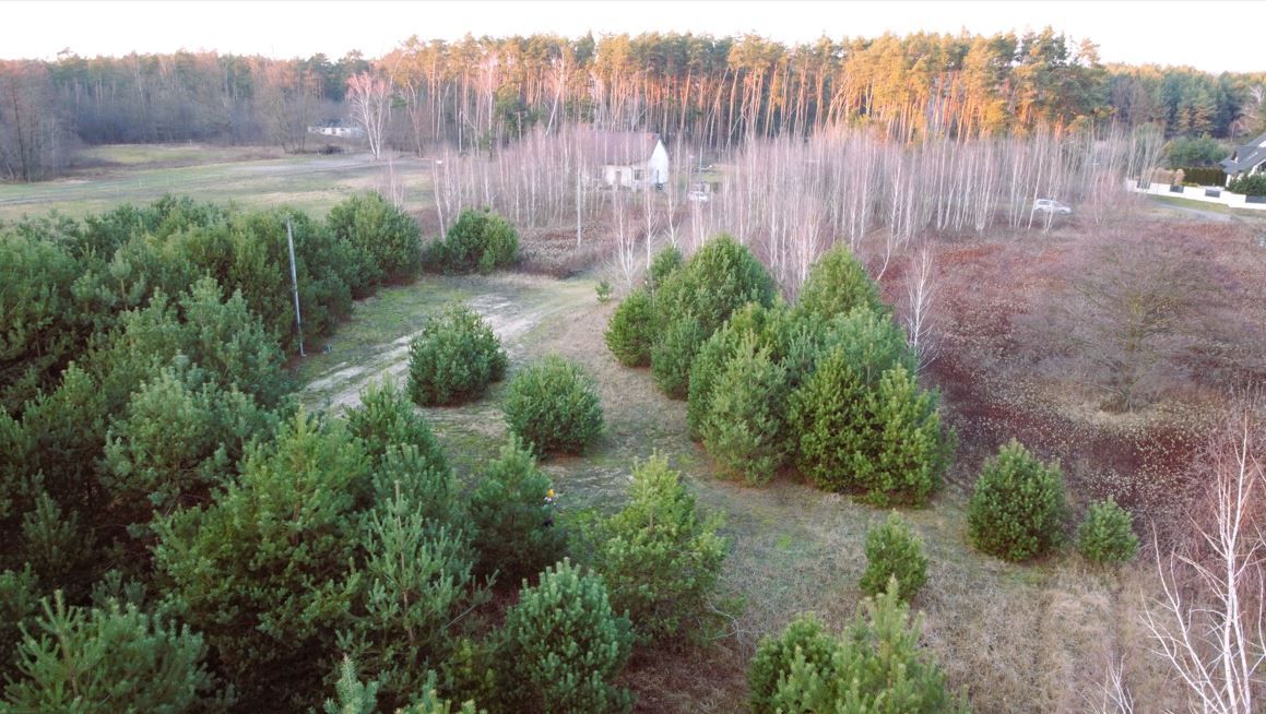 Działka budowlana Bielino Wirgnia, ul. Radosna. Zdjęcie 4