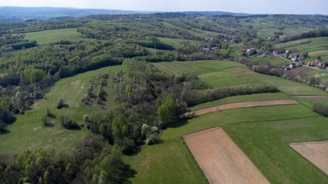 Działka rolna Laskówka. Zdjęcie 19