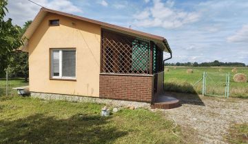 Mieszkanie 2-pokojowe Pęcław