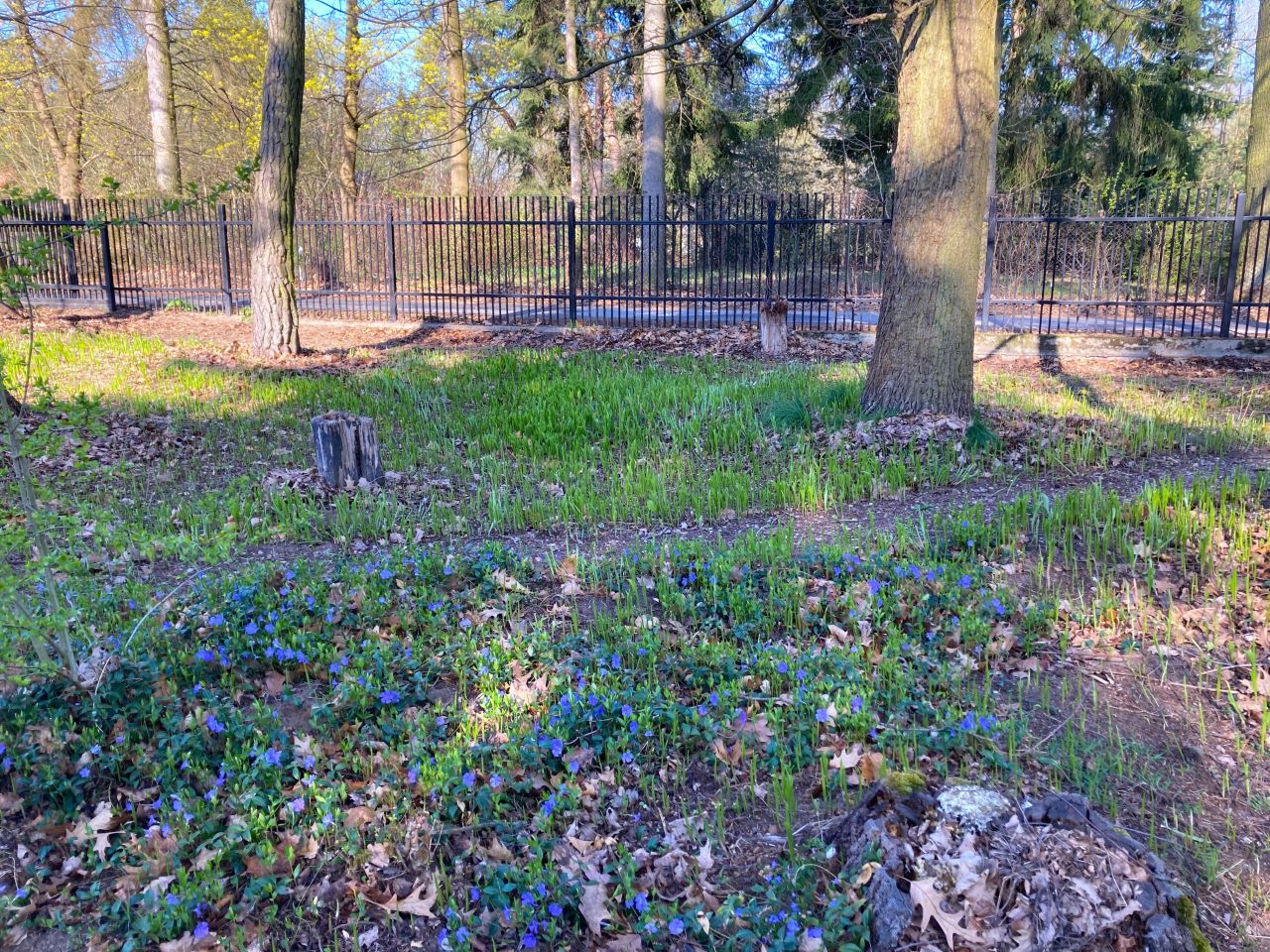 dom wolnostojący, 5 pokoi Złotokłos, ul. Słoneczna. Zdjęcie 16