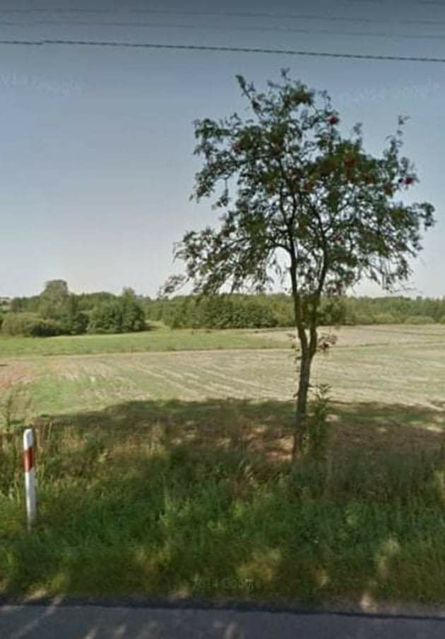 Działka rolno-budowlana Małe Bałówki. Zdjęcie 3