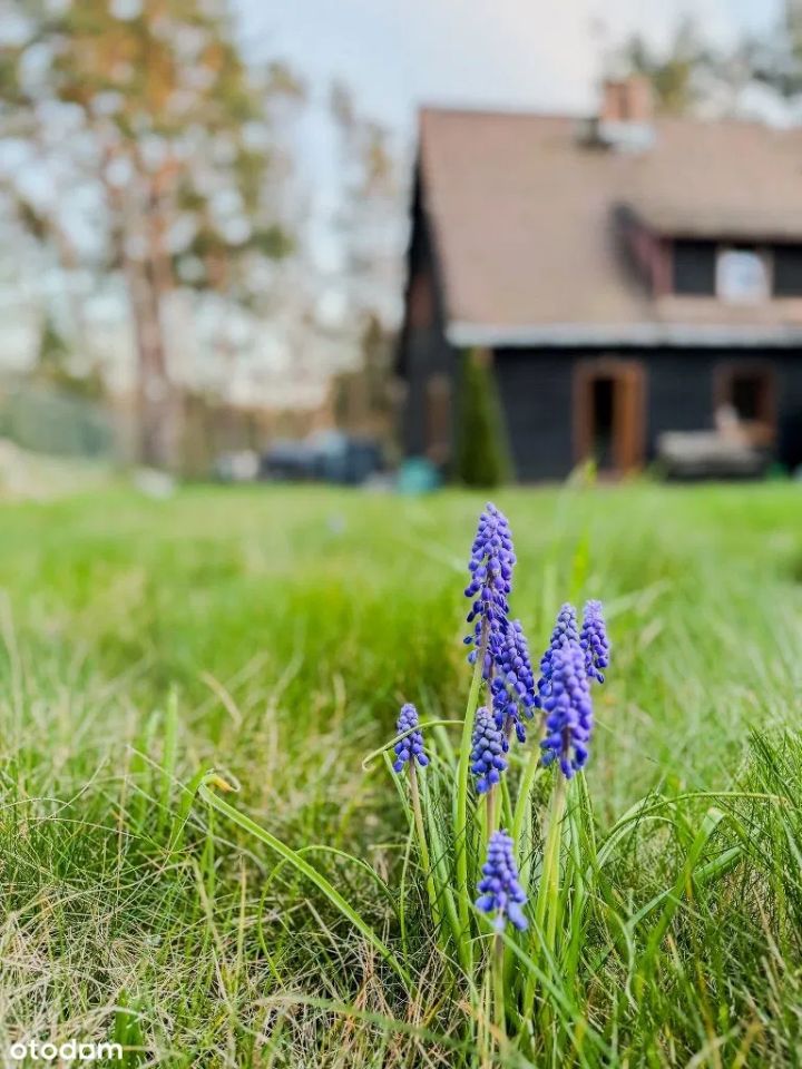 bliźniak, 3 pokoje Lędowo-Osiedle, ul. Bosmańska