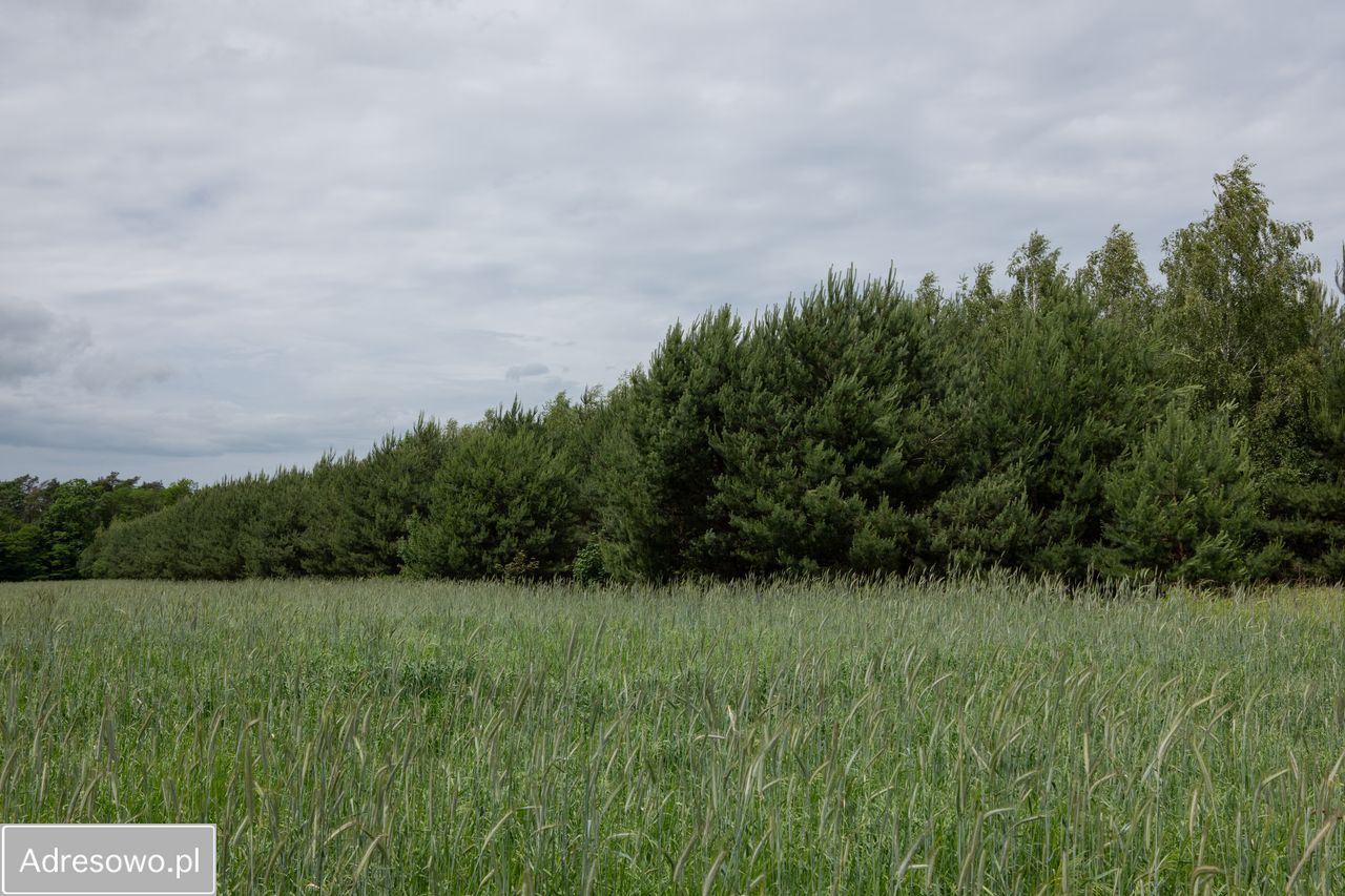 Działka Zofijówka. Zdjęcie 7