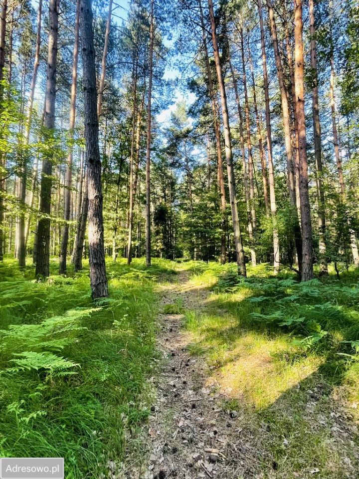dom wolnostojący, 5 pokoi Orzesze, ul. Suszecka. Zdjęcie 8
