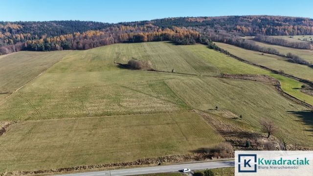 Działka budowlana Zdynia. Zdjęcie 8