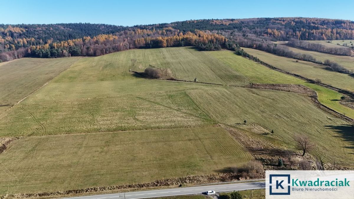 Działka budowlana Zdynia. Zdjęcie 8