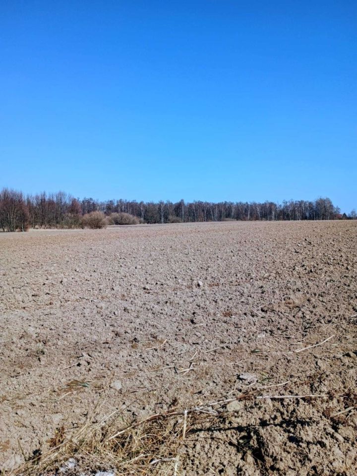 Działka budowlana Kęsowo, ul. Łąkowa. Zdjęcie 2